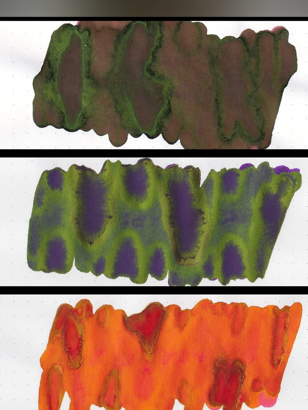 Octopus Ink Sampler Trio - Picture 4 of 9